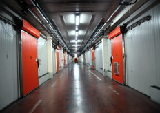 Nello stabilimento ci sono oltre 100 celle di stoccaggio (per il 75 per cento ad atmosfera modificata).