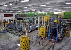 Sala per la lavorazione e confezionamento di kiwi e, quando e' stagione, di frutta estiva.