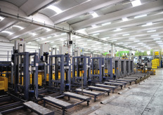 Ancora una vista della sala di lavorazione kiwi / frutta estiva.