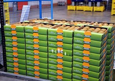 I principali mercati di riferimento per la merce commercializzata da Salvi-UNACOA sono: 60 per cento estero (soprattutto grande distribuzione) e 40 per cento Italia.