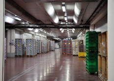 La merce in attesa di essere caricata viene mantenuta a basse temperature.