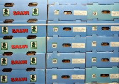 Confezioni di uva egiziana.