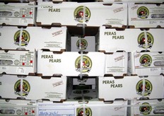 "Anche la pera Abate Fetel viene trattata 12 mesi l'anno, grazie alle importazioni dal Cile. Come spiega Salvi: "I prodotti controstagionali che scegliamo sono praticamente gli stessi della produzione stagionale italiana (pere, mele, kiwi, uva), proprio per garantire continuita' nelle forniture ai clienti (siamo considerati category dalla GDO estera) e per abituare i consumatori a mangiare tutto l'anno proprio quelle tipologie di frutta di cui l'Italia e' una forte produttrice. Dunque il prodotto controstagionale, lungi dall'essere d'impaccio alla produzione nazionale, ne costituisce un ottimo traino commerciale"."