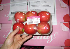 "Confezione da sei frutti di mele Pink Lady. "Il club di questa varieta' e' uno di quelli che hanno visto il maggior successo negli ultimi anni - afferma Marco Salvi - Ma tali risultati non sono stati ottenuti nel giro di poco tempo. Si pensi per esempio che i nostri vivai sono pieni di piante di Pink Lady perche' all'inizio non le voleva nessuno! Percio' noi siamo fiduciosi sulle prospettive della nostra selezione di mela rossa Modi'"."