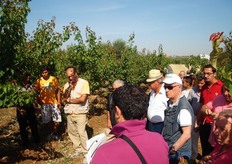 In primo piano (di spalle) Vito Vitelli del COVIL si appresta a fornire le indicazioni tecniche relative alla varieta' di albicocco Kioto.