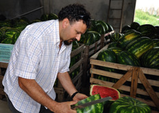 Franco procede al taglio di un'anguria quadrata, per passare alla degustazione.