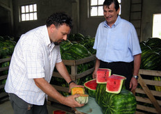 Assistiamo in diretta al taglio del primo esemplare di melone quadrato di Franco Feroldi.
