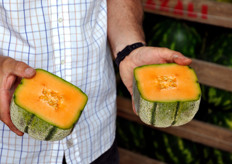 ... anche la disposizione dei semi ha assunto forma quadrata!