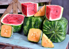 Le creature di Franco, belle da vedersi, pratiche da trasportare e da servire in tavola e soprattutto... buone!