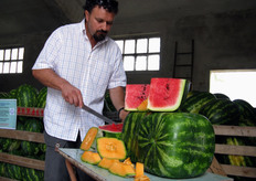 Proviamo un po' anche l'anguria...