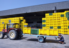 Agricola Don Camillo si avvale della collaborazione di 40 soci fornitori, dislocati in aree geografiche diverse (Emilia Romagna, Lombardia, Veneto, Lazio e Sicilia), cosa che consente un calendario produttivo e commerciale di ben sette mesi, dai primi di aprile a fine ottobre.