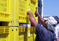 Il momento dell'apposizione delle etichette sui bins in arrivo.