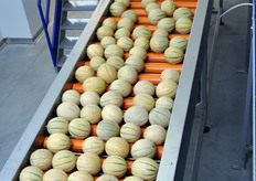 Il prodotto, ormai libero da impurita', viene trasportato verso la sala di confezionamento.