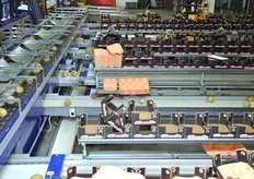 Sala di confezionamento.