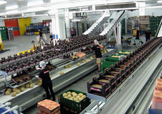 Operazioni di confezionamento.