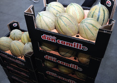 Il risultato del processo di lavorazione e confezionamento.