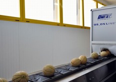 Lo stabilimento della Agricola Don Camillo si e' dotato anche di specifico macchinario Unitec per la rilevazione del grado Brix (tenore zuccherino) all'interno dei frutti, laddove il cliente finale richieda questa misurazione. Il macchinario e' in grado di effettuare rilevazioni multiple in diversi punti del frutto e di emettere un valore medio come responso. I meloni, infatti, presentano una maturazione non uniforme della polpa, cosa che deriva dalla posizione nella quale crescono in campo.