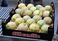 Cassette di meloni per i quali viene garantito un determinato grado Brix.