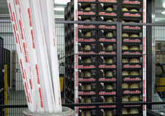 Pallet di meloni in fase di applicazione delle reggette laterali.