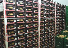 Merce pronta per il carico e la spedizione.