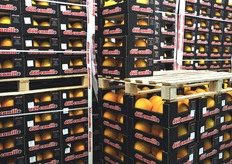 Pallets di meloni gialli.