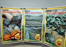 OPO Bellaguarda, proprietaria del marchio Cocomerita, riunisce 110 soci, per una superficie produttiva di circa 500 ettari e un volume annuo di 23.000 tonnellate di ortofrutticoli, prevalentemente meloni, angurie e zucche.