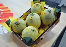 OPO Bellaguarda ha costituito una cultivar di melone, denominata Giotondo (nella foto), partendo da antiche varieta' autoctone del mantovano.