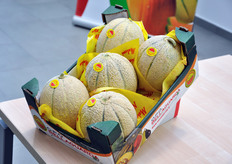 Meloni a marchio Cocomerita.