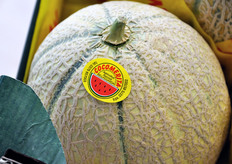 Dettaglio del bollino.