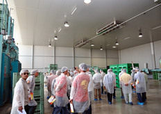 La prima sala di lavorazione e' dedicata alla selezione dei frutti e - per le partite di merce che ne necessitano - alla rilevazione del loro grado Brix (tenore zuccherino).