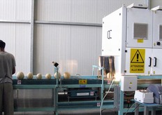 I meloni vengono posizionati tutti con la punta verso l'alto, per consentire un'uniformita' nel risultato dell'analisi a infrarossi del loro grado zuccherino.