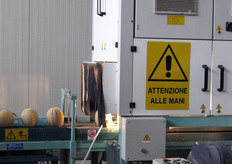 Passaggio dei meloni sotto la macchina NIR.