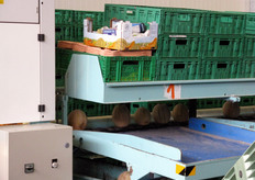 Uscita dei meloni dal macchinario NIR.