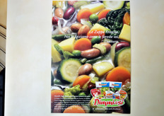 La Linea Verde e' specializzata nella produzione e commercializzazione di un vasto assortimento di piatti pronti all'uso: dalle insalate fresche gia' tagliate, alle zuppe e minestroni da banco frigo, ai frullati di frutta fresca senza conservanti.