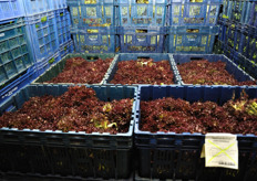 Tutta la merce viene etichettata all'ingresso, con codici che ne consentono la piena tracciabilita' lungo tutto il percorso della lavorazione, fino all'imbustamento.