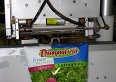 Applicazione di maniglietta a confezioni doppie di lattughino in busta.