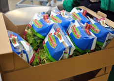 Confezioni doppie di lattughino.