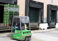 Movimentazione pallet.