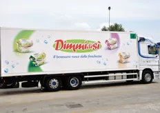 L'azienda dispone di mezzi propri di trasporto. Cinquanta camion refrigerati sono impiegati solo per la distribuzione dei prodotti in Nord Italia. La Linea Verde distribuisce anche nel Centro Italia.
