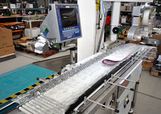 Le peso-prezzatrici Bilanciai sono disponibili in due gamme: Venus e Mercury. Venus lavora in modalita' di pesatura statica (con output fino a 70 pezzi/minuto), mentre Mercury lavora in modalita' di pesatura dinamica, con capacita' fino a 140 confezioni al minuto.