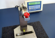 Esempio interattivo di cella di carico.