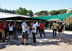 L'area per l'esposizione delle varieta' frutticole.