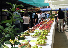 Esposizione di antiche varieta' frutticole, preziosa fonte di biodiversita' e di tratti genetici interessanti anche per il miglioramento della varieta' frutticole attuali.