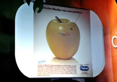 MelaSi', marchio nato nel 2000 per la commercializzazione delle mele colpite dalla grandine, ha rilanciato anche nel 2008 il concetto che una piccola imperfezione non intacca il gusto delle mele.