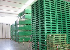 Deposito degli imballaggi pronti ad essere reimmessi nella filiera.