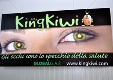 Si e' svolto in data sabato 12 settembre 2009 il secondo appuntamento con la giornata dedicata al kiwi presso l'azienda veronese Ceradini B&C, proprietaria dei marchi KingKiwi e KingFruit.