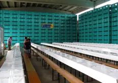 Lunghe tavolate per il pranzo sono state allestite all'interno del magazzino dell'azienda Ceradini.