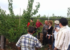 Il 12 settembre scorso e' stata organizzata dal COVIL - Consorzio Vivaisti Lucani (Scanzano Jonico - MT) e dai vivai-breeders Pepiniere Escande-Bee (Saint-Vite - Francia), una giornata tecnica sulla potatura presso i giovani albicoccheti dell'Azienda Agricola Ruggero Fortunato di Rocca Imperiale (CS).