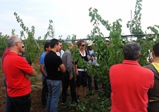 L'incontro ha avuto come obiettivo il confronto diretto in campo tra un gruppo di frutticoltori provenienti da Puglia, Basilicata e Calabria e tecnici francesi, operanti nell'area del Sud Est della Francia, esperti delle varieta' del gruppo Escande.