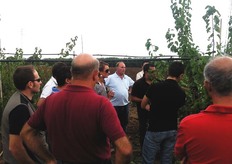 Le giornate tecniche sulla potatura, organizzate in campo, sono molto gradite dai frutticoltori poiche' consentono di acquisire rapidamente e con facilita' i fondamenti della corretta gestione della chioma, evitando errori di impostazione dell'impianto e inutili aggravi di costi.